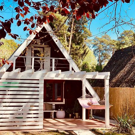 Nadi'S Holiday Home - Heart Of Woods, Szentendre Island Szigetmonostor Exteriör bild