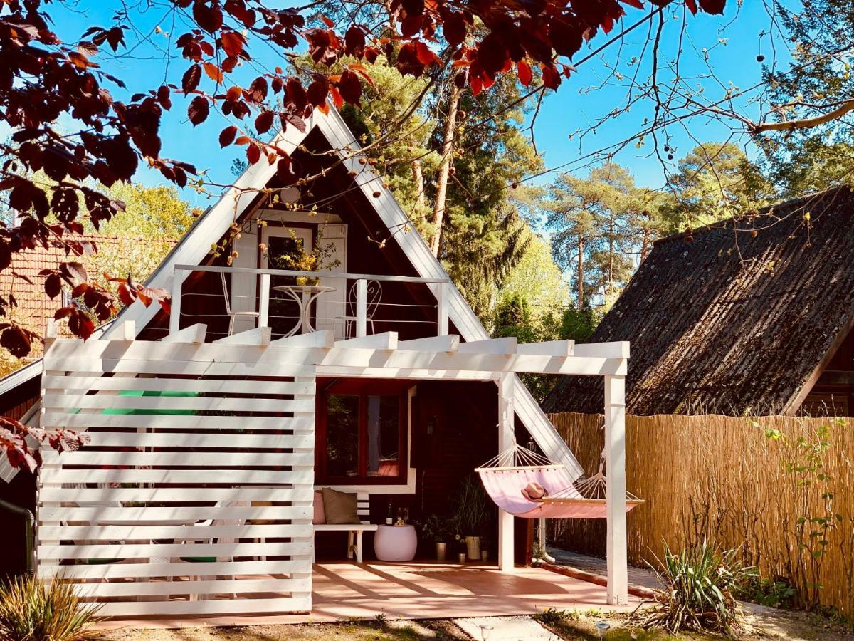 Nadi'S Holiday Home - Heart Of Woods, Szentendre Island Szigetmonostor Exteriör bild